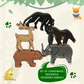 Jungle Animals with Flashcards