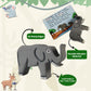 Jungle Animals with Flashcards