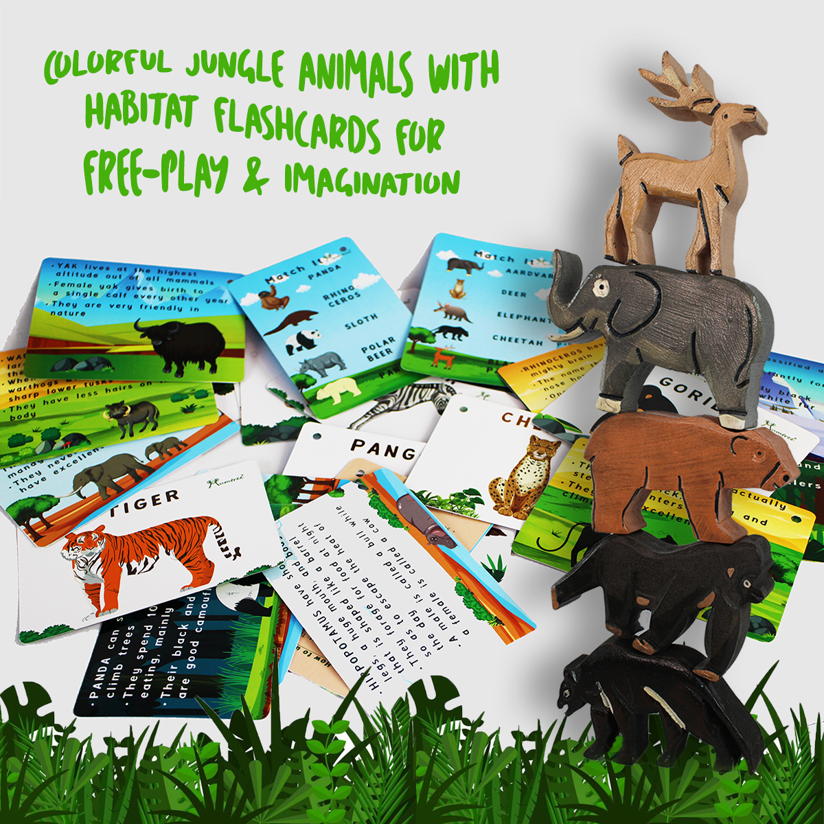 Jungle Animals with Flashcards