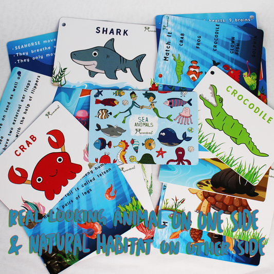 Sea Animals with Flashcards